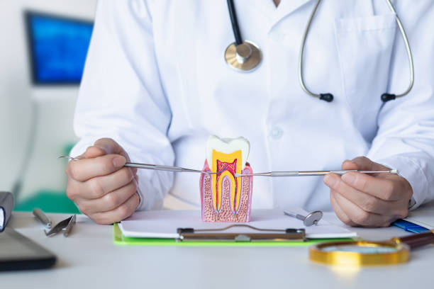 Best Emergency Tooth Extraction in Middleburg, PA